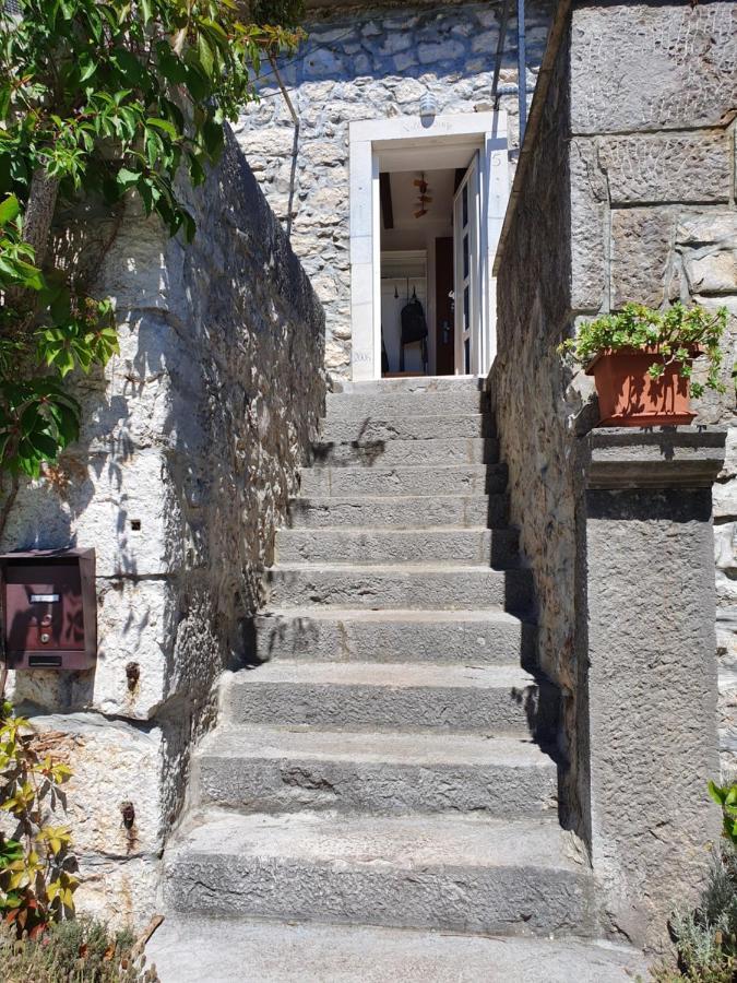 Villa Diny With Pool Pinezići Eksteriør bilde